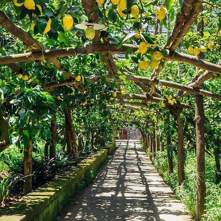 Agriturismo Il Giardino Di Vigliano Масса-Лубренсе Екстер'єр фото