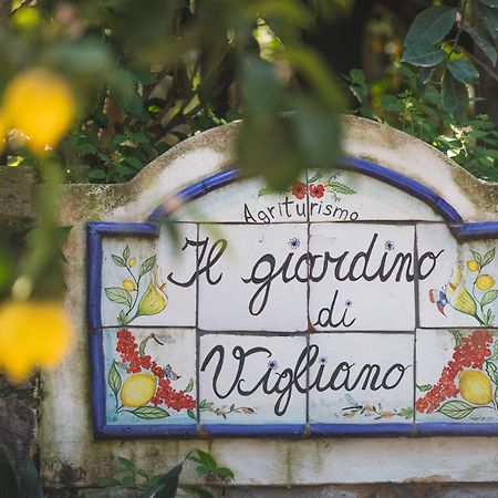 Agriturismo Il Giardino Di Vigliano Масса-Лубренсе Екстер'єр фото