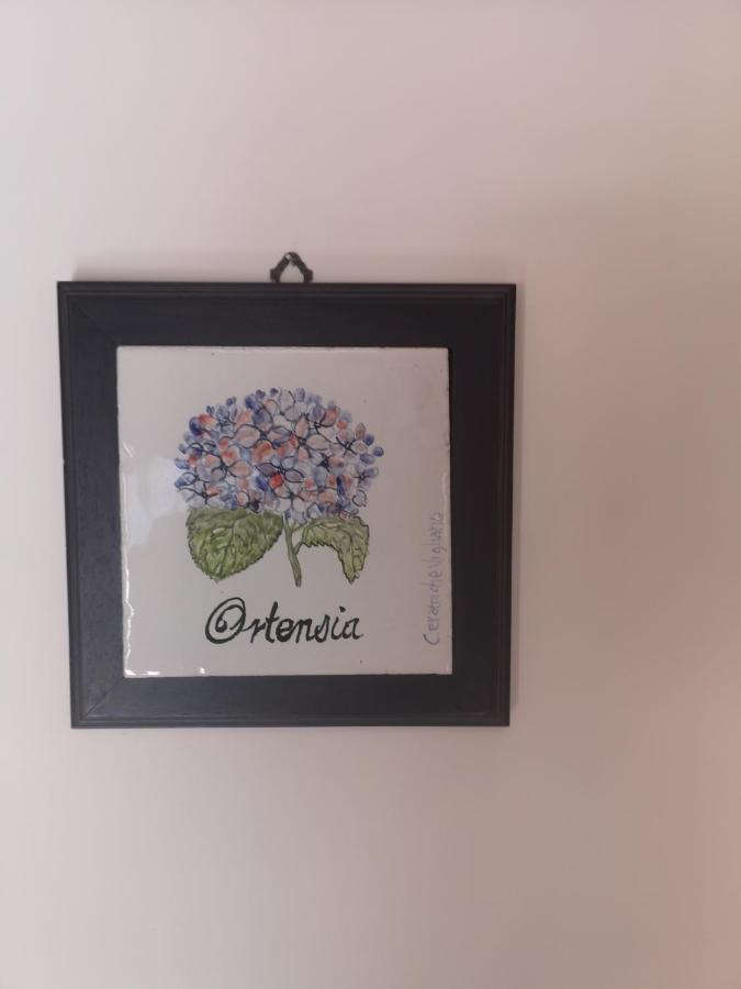 Agriturismo Il Giardino Di Vigliano Масса-Лубренсе Екстер'єр фото