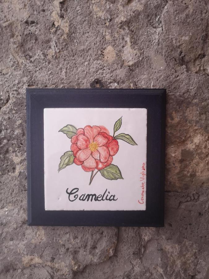 Agriturismo Il Giardino Di Vigliano Масса-Лубренсе Екстер'єр фото