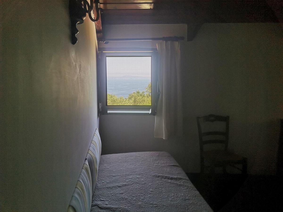 Agriturismo Il Giardino Di Vigliano Масса-Лубренсе Екстер'єр фото