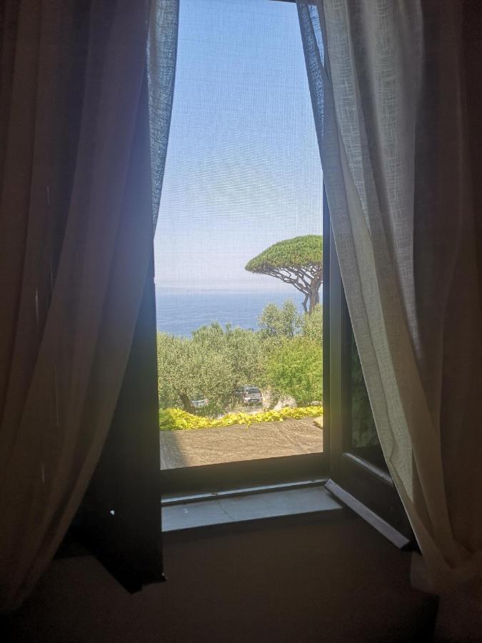 Agriturismo Il Giardino Di Vigliano Масса-Лубренсе Екстер'єр фото