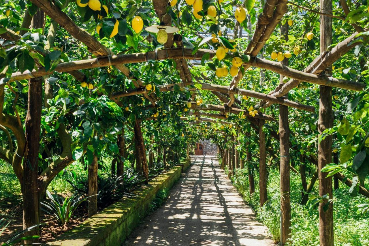 Agriturismo Il Giardino Di Vigliano Масса-Лубренсе Екстер'єр фото